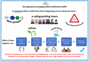 Term 4, Week 2 - Child on Child Harm